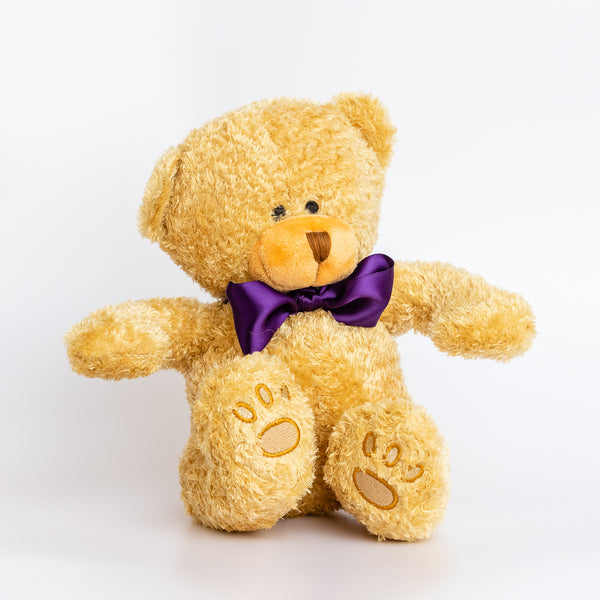 Edward the Teddy Bear